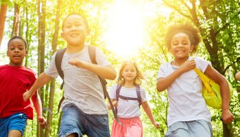 What Are The Different Types of Preschool Curriculum?